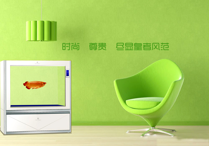 可麗愛(ài)金白色6 可麗愛(ài)金白色6