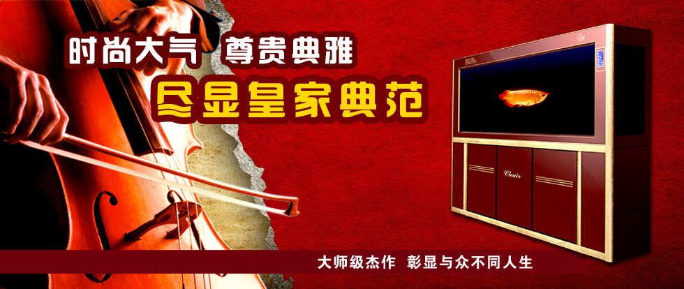 經(jīng)典酒紅色ad1