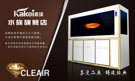 金箔ABZ白色廣告1